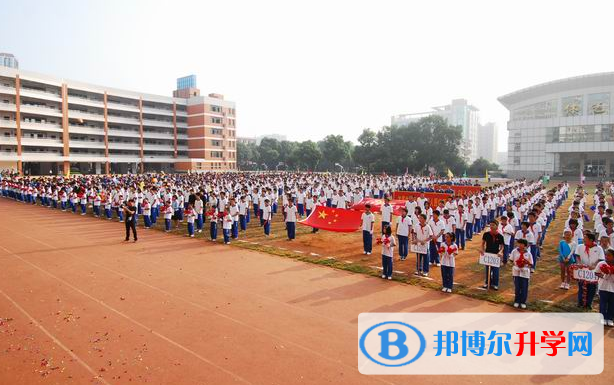 長沙十五中國際部2020年招生辦聯系電話