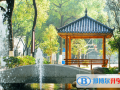 長沙十五中國際部怎么樣、好不好
