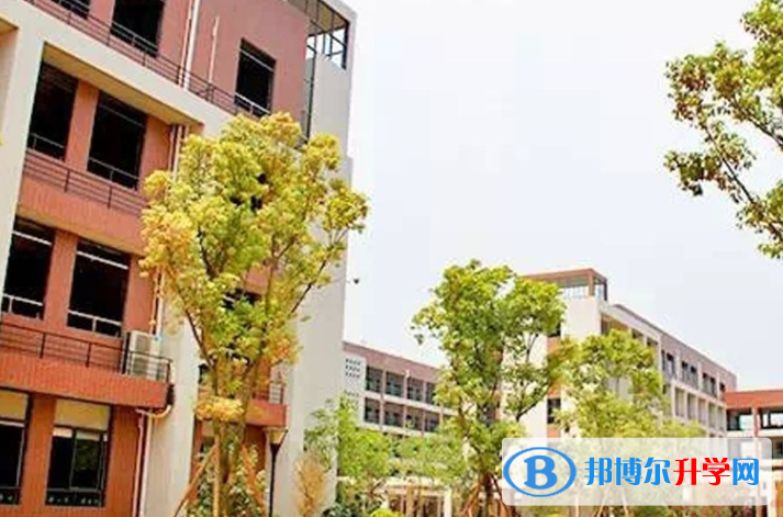 碧桂園威尼斯中英文學校2020年招生辦聯系電話