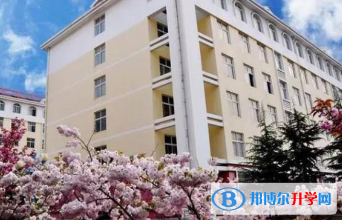 青島國基外語學校2020年招生辦聯系電話