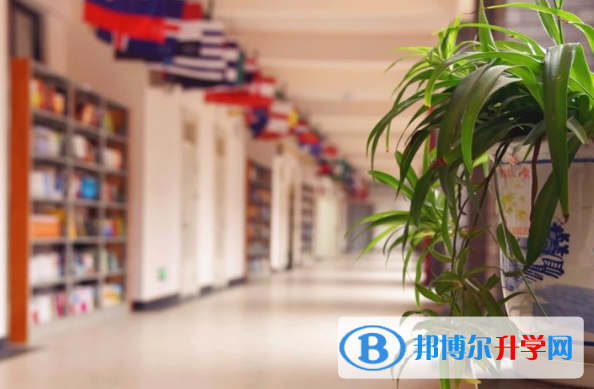 清鎮博雅國際實驗學校小學部2020年招生計劃