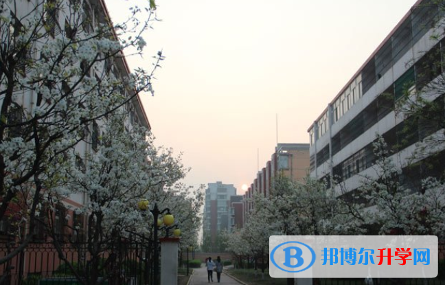 山西現代雙語學校小學部怎么樣、好不好