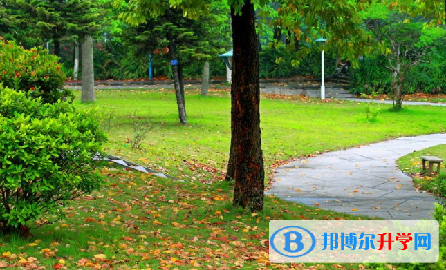 安陽新坐標國際學校2020年報名條件、招生要求、招生對象