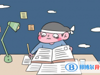 2020年曲靖如何查詢中考成績單