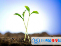2020年曲靖查詢中考成績上哪個網站