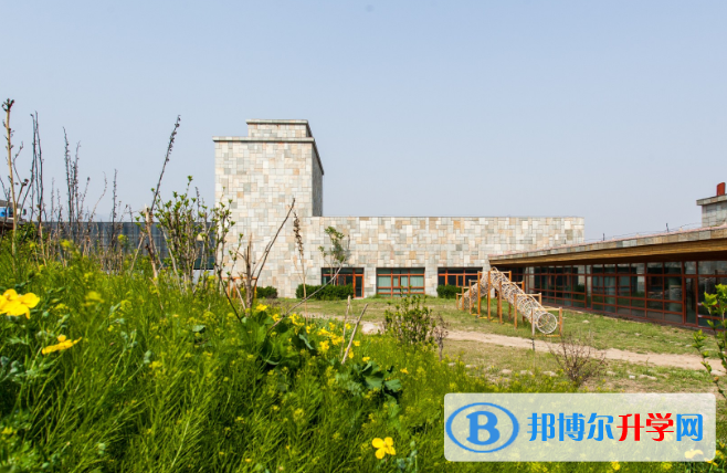 顯現國際學校怎么樣、好不好