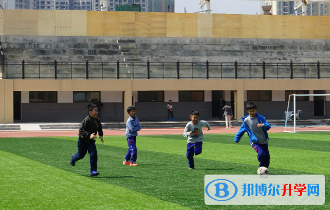貴陽一中普瑞國際學校初中部2020年學費、收費多少