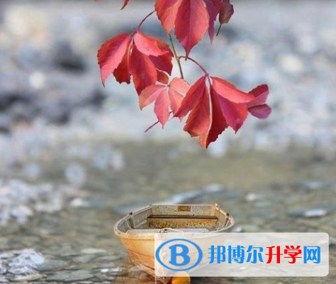  2020年曲靖中考報名網
