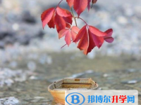 2020年曲靖中考報名網