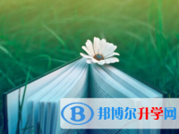 2020年玉溪中考錄取規劃線