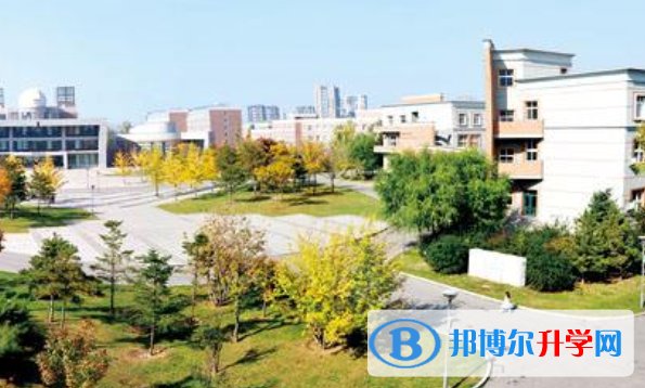 東北育才學校國際高中2020年招生辦聯系電話