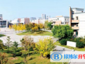 東北育才學校國際高中2023年招生辦聯系電話