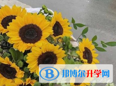 2020玉溪中考志愿官網