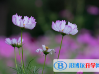 2020年玉溪中考準考證丟了怎么辦