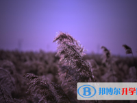 2020年玉溪中考準考證