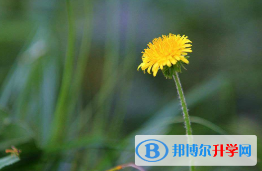 2020年玉溪中考應對策略
