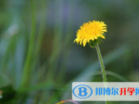 2020年玉溪中考應對策略