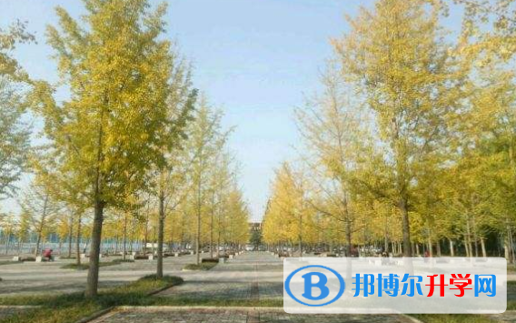 太原北辰雙語學校2020年報名條件、招生要求、招生對象