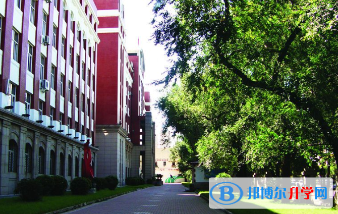 哈爾濱第九中學國際部江南校區怎么樣、好不好