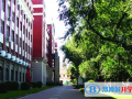 哈爾濱第九中學國際部江南校區怎么樣、好不好