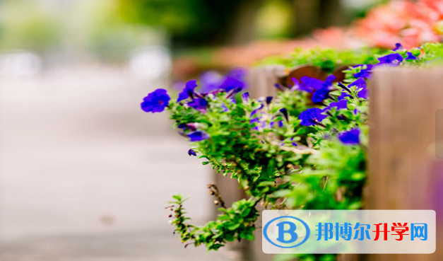 嘉興二十一世紀外國語學校網站網址 