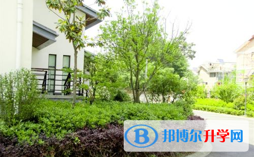 浙江常春藤國際高中2020年報名條件、招生要求、招生對象