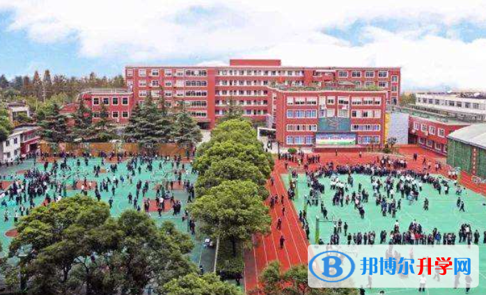 上海西南位育中學國際部2023年招生辦聯系電話
