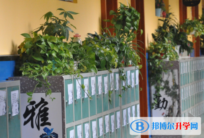 北京陳經綸中學國際部2023年報名條件、招生要求、招生對象