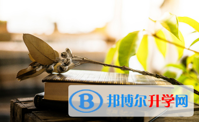 2020年思茅中考成績怎么查詢