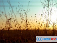 2020年臨滄中考錄取規劃線