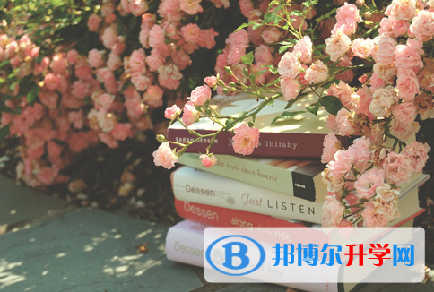  2020年臨滄中考網錄取系統