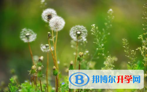 2021年寶雞中考成績查詢系統