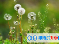 2021年寶雞中考成績查詢系統