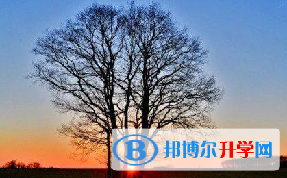  2021年楚雄中考沒考好可以復讀嗎