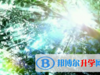2021年紅河中考成績怎么算