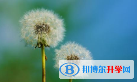  2021年寶雞中考網上學校
