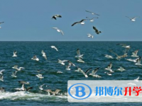 2021年寶雞中考網上報名