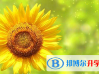 2021年寶雞中考網絡應用平臺