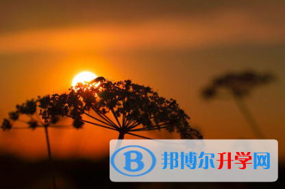 2021年寶雞中考準考證信息