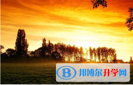 2021年寶雞中考重點復習資料
