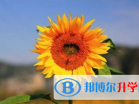 2021年寶雞中考報名