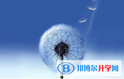  2021年寶雞中考報名服務平臺