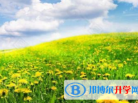 2021年寶雞中考的統招和調劑說明