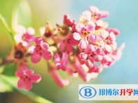 2021年寶雞中考準考證