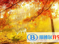 2021年寶雞中考調劑志愿是什么意思