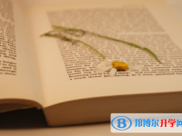 2021年西雙版納中考是什么時候
