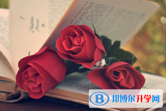 2021年德宏中考派的學校有哪些學校