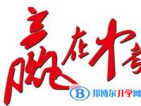 2021年怒江中考453可以讀哪些學校
