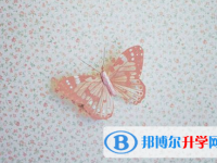 2021年怒江中考報名網站是什么