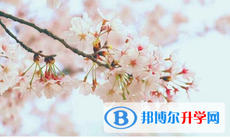 2021年德陽中考升學率